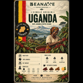 Ugandan Coffee Beans Price in Pakistan - BeanAxe